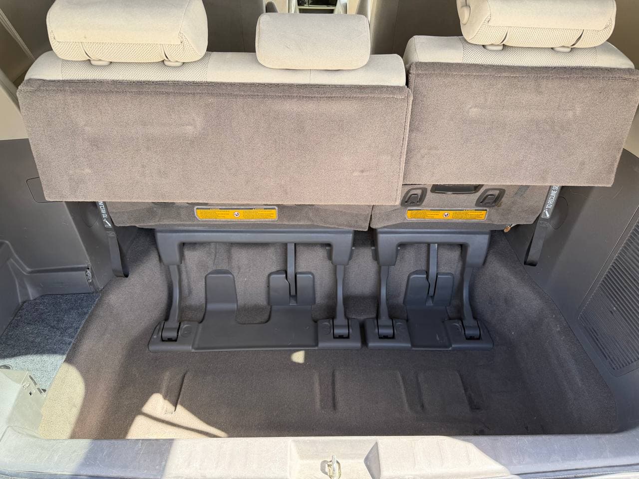 Trunk cleaned